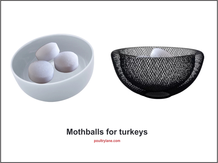 Will mothballs keep turkeys away?