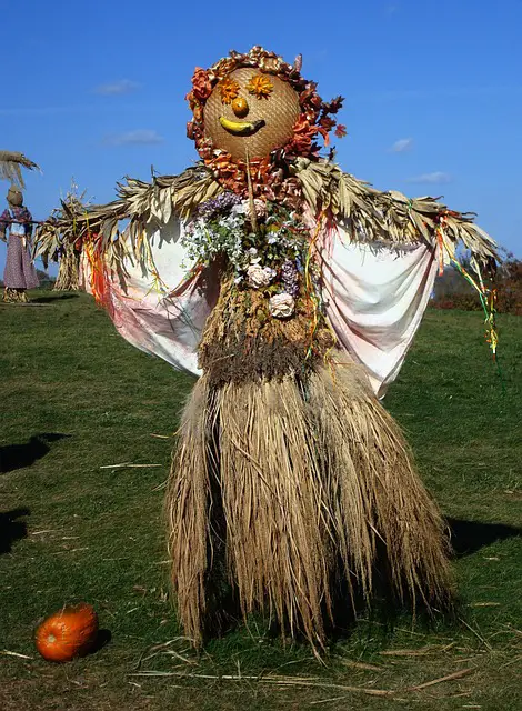 Minnesota Scarecrow