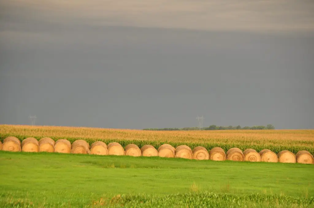 Hay Bales, South Dakota